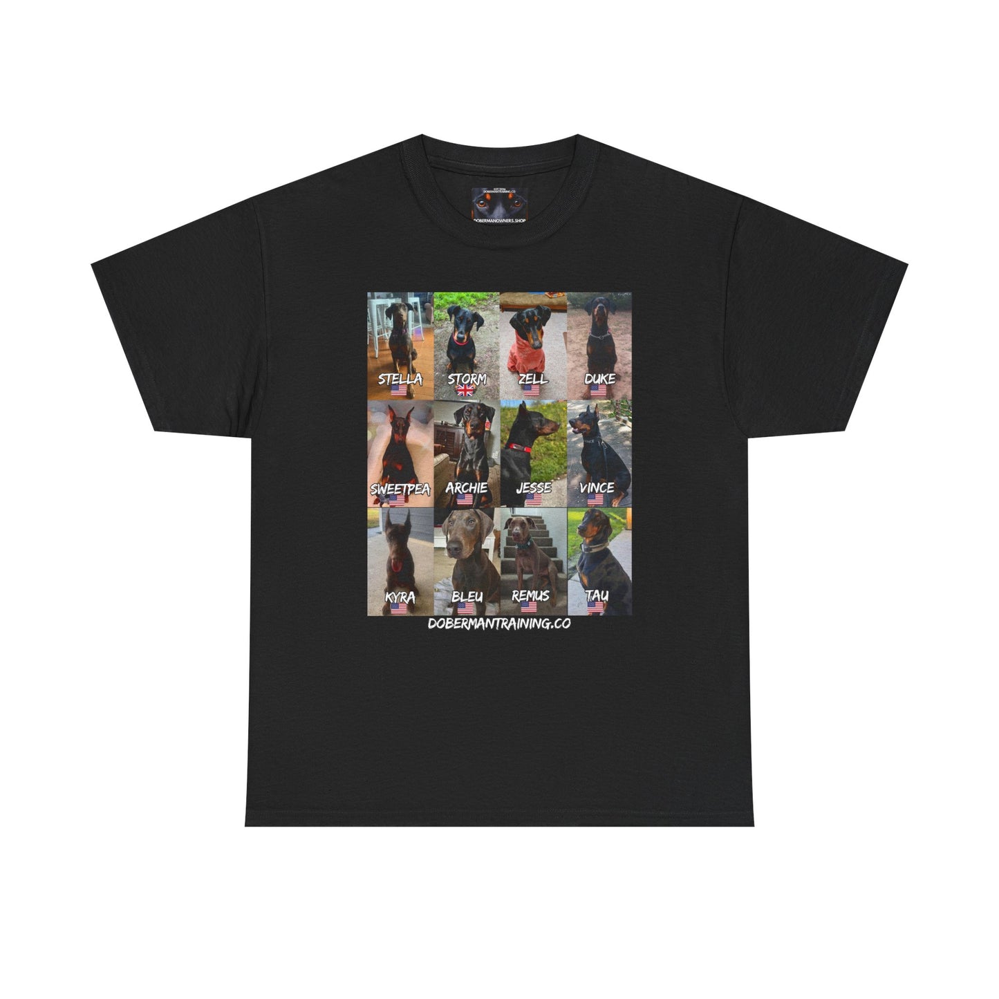 Fam 1 Sit Private Lable Unisex Heavy Cotton Tee