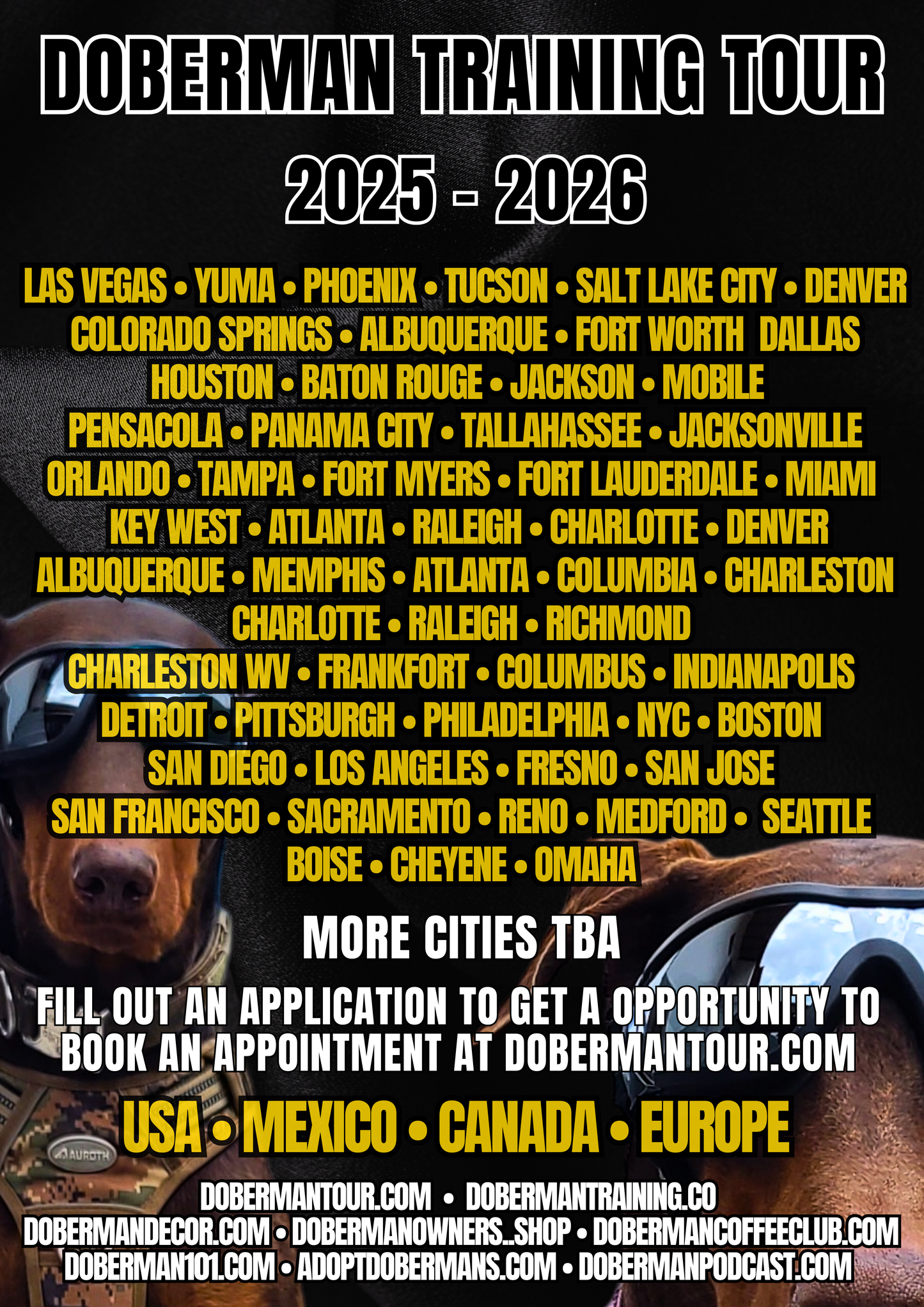 Phoenix 1/25/25 Doberman Training Tour: In-Person & Online Coaching Program