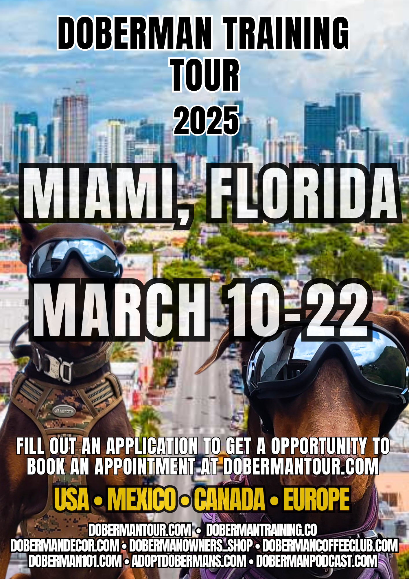 Miami 3/10-3/22 Doberman Training Tour: In-Person & Online Coaching Program