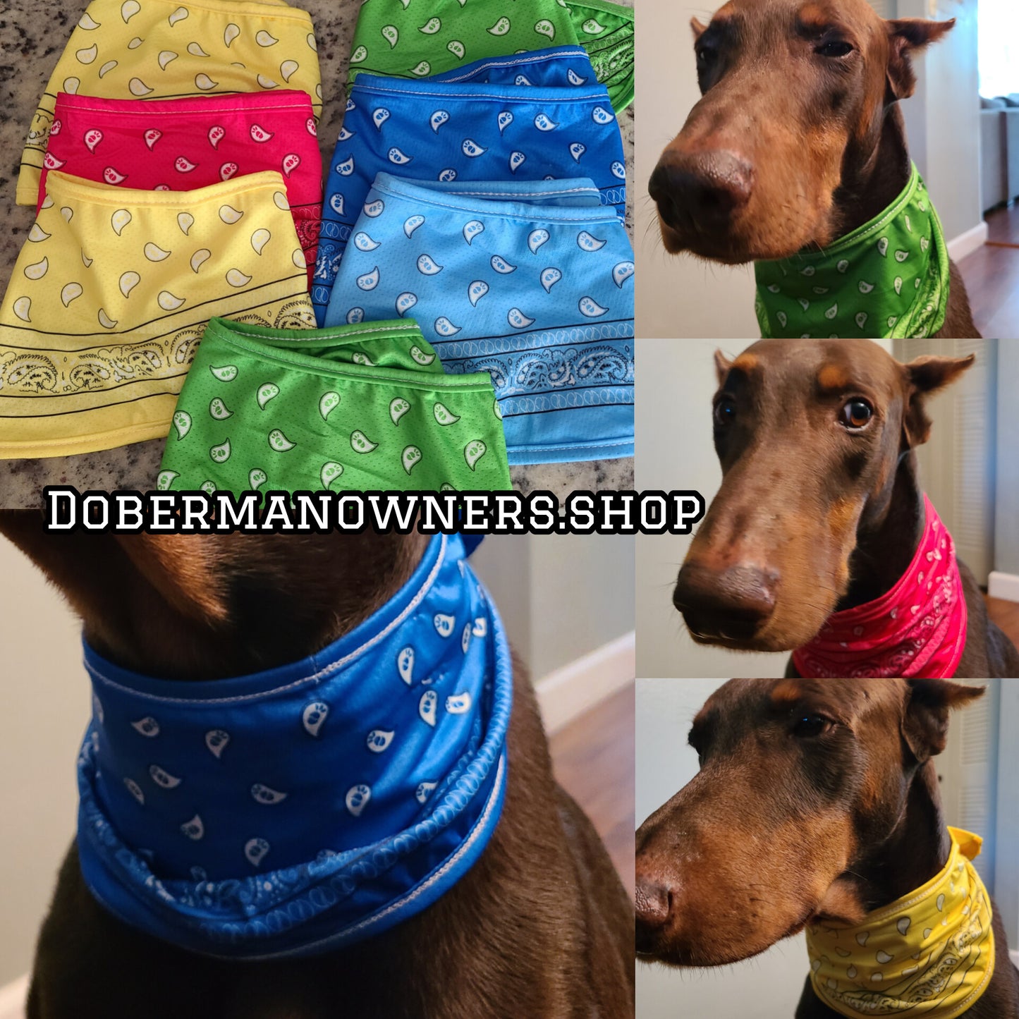 Cooling Bandanas