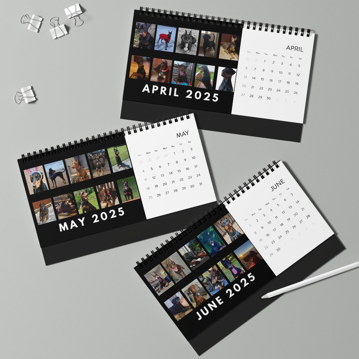 DTT 1st Edition Desktop Calendar (2025 grid)