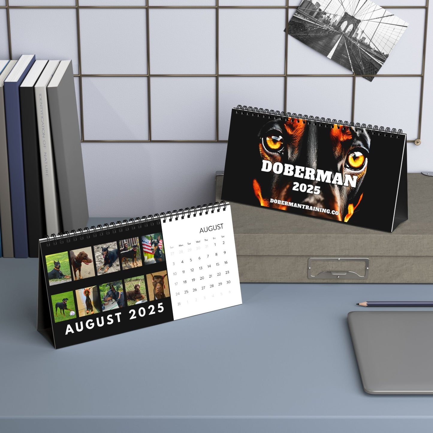 DTT 1st Edition Desktop Calendar (2025 grid)