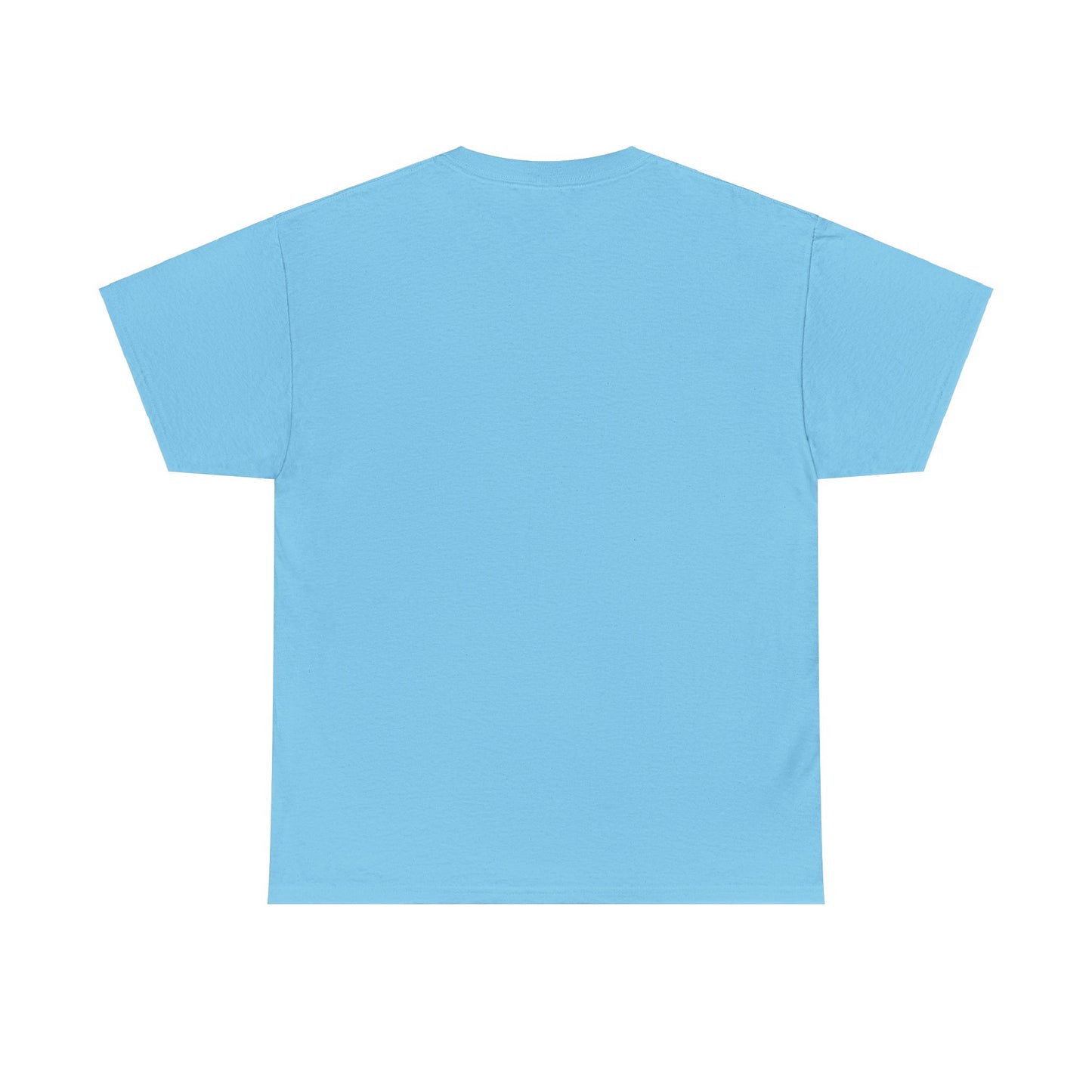 100 1 Private Lable Unisex Heavy Cotton Tee
