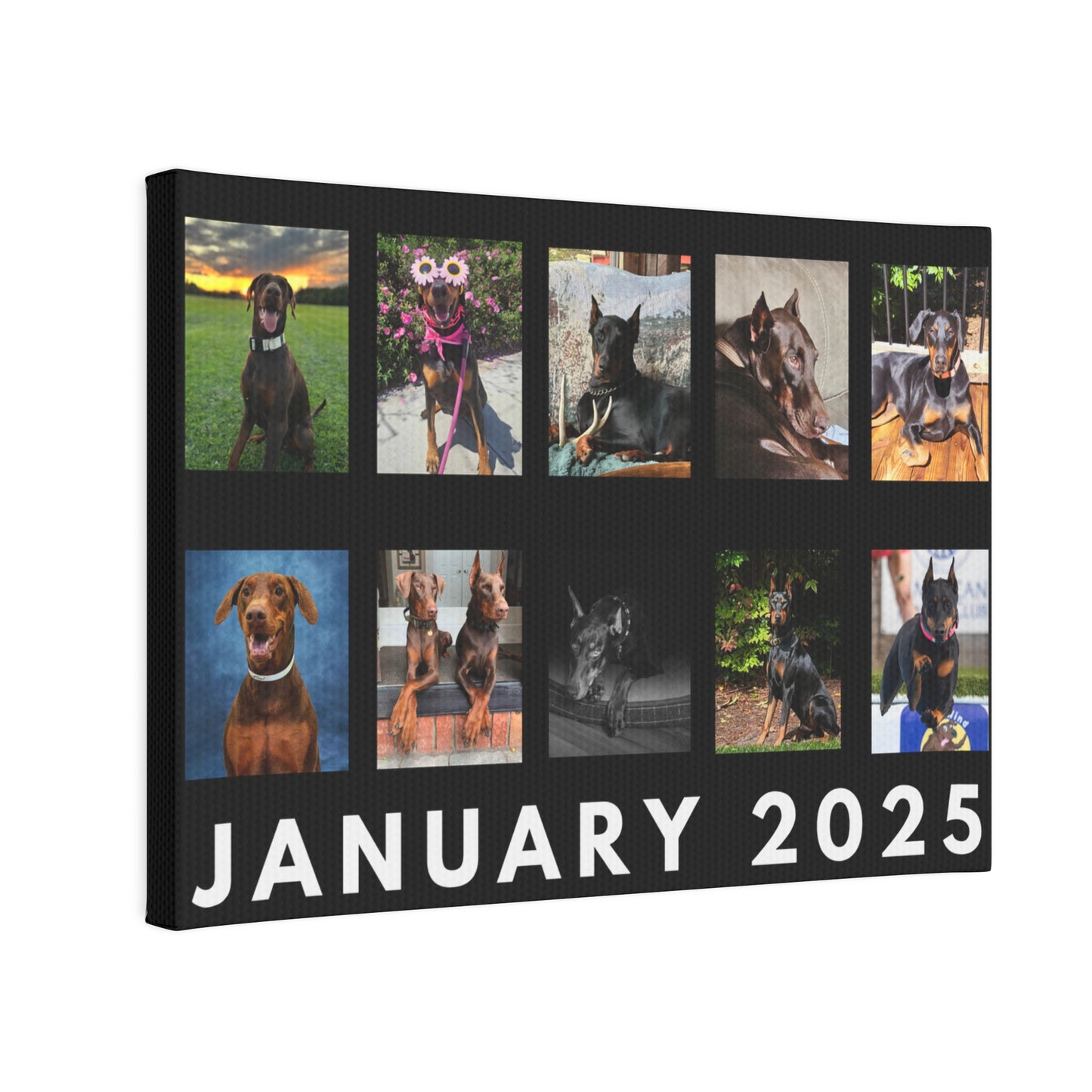 1st Edition January 2025 Canvas Photo Tile