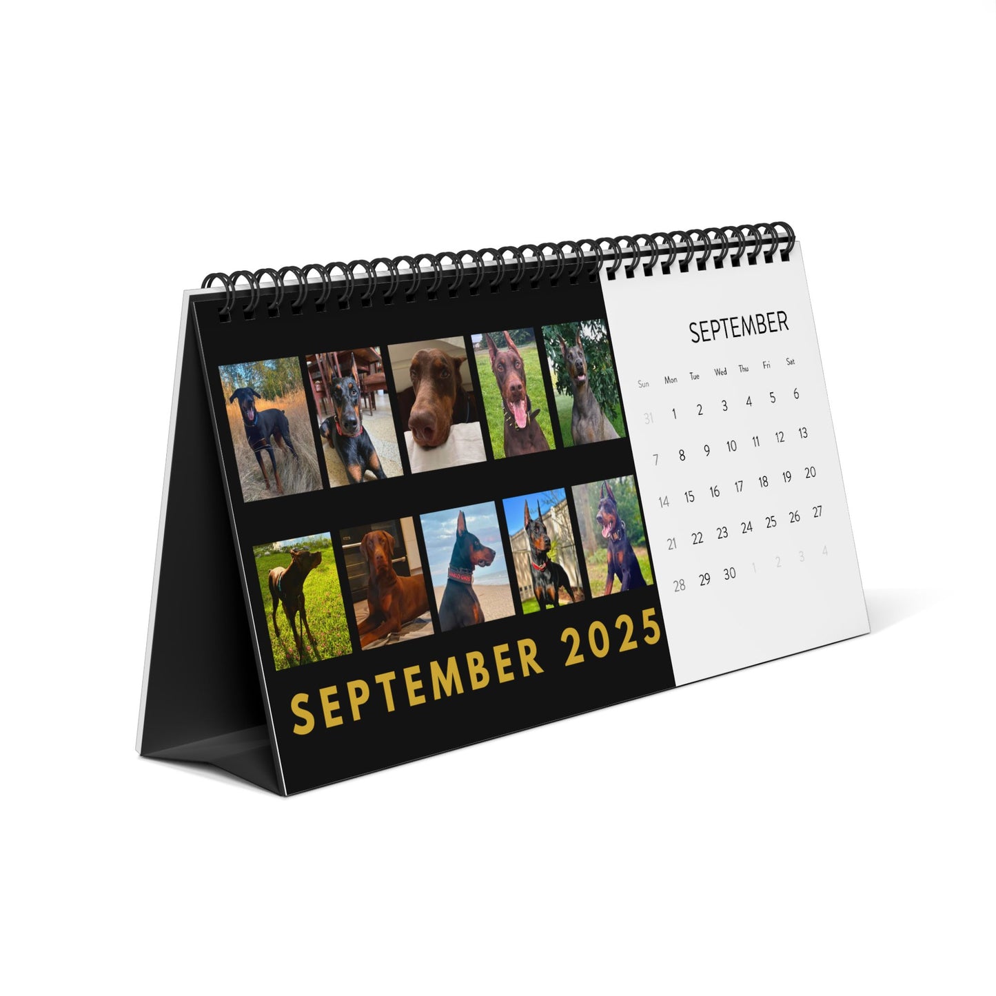 DTT 2nd Edition Desktop Calendar (2025 grid)