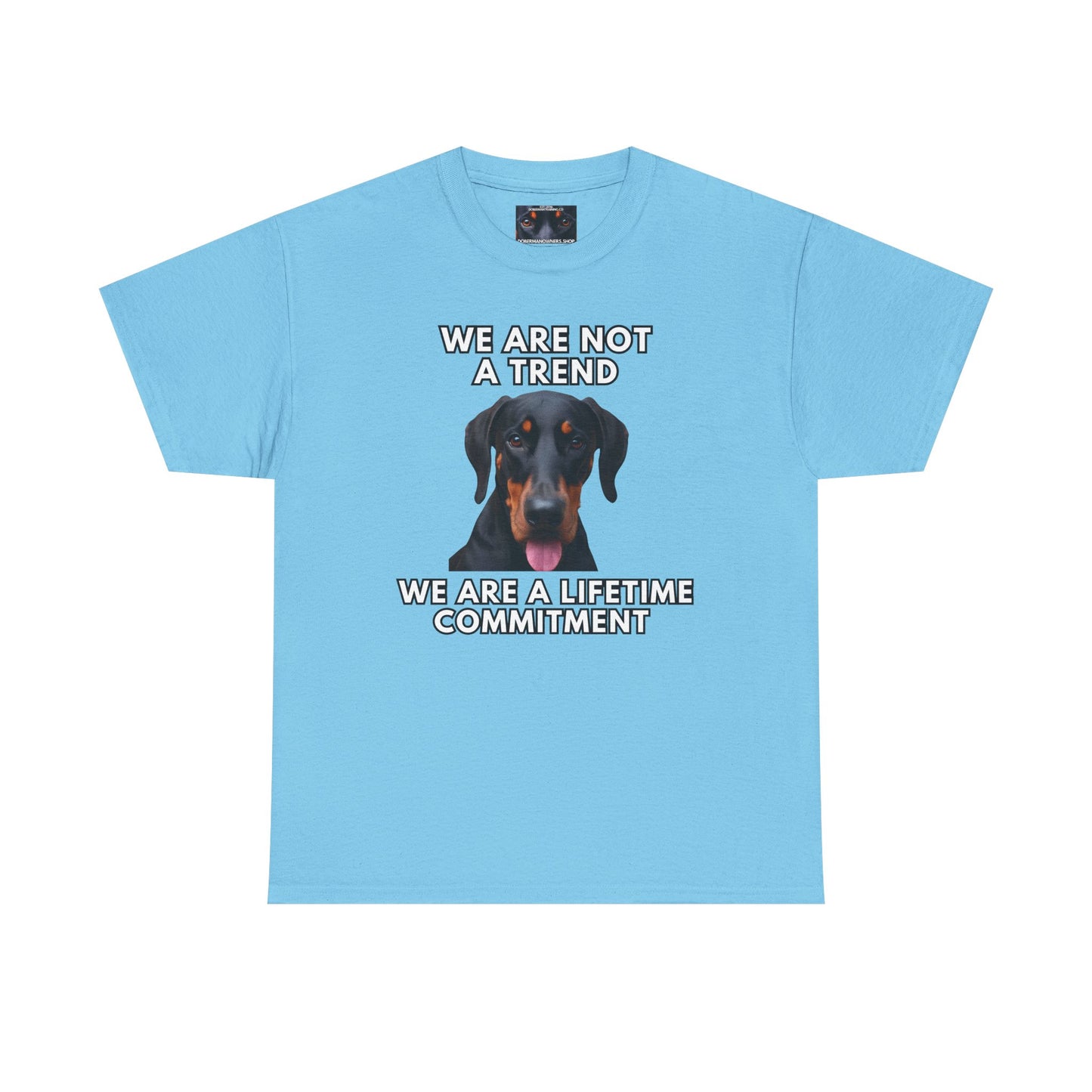Adopt 12 Private Lable Unisex Heavy Cotton Tee