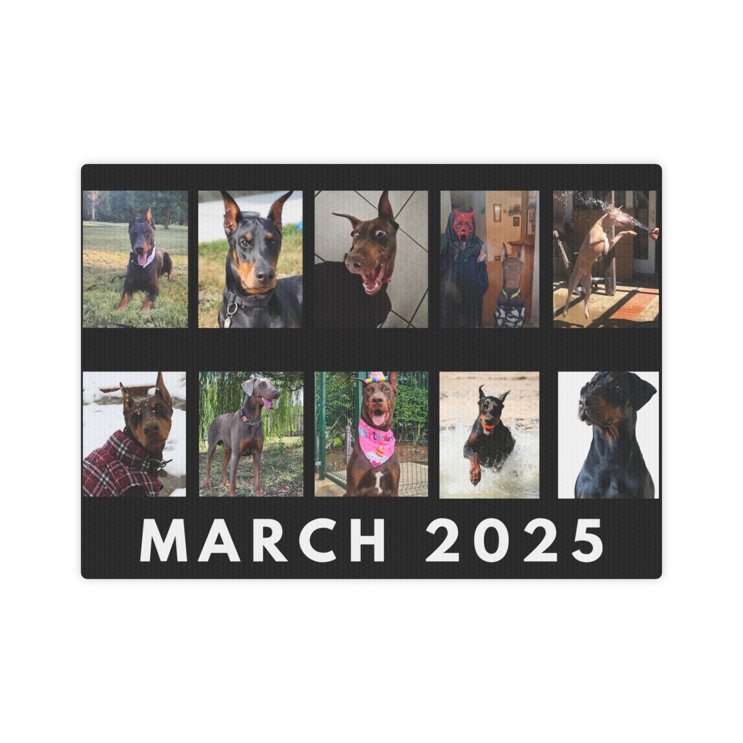 1st Edition March 2025 Canvas Photo Tile