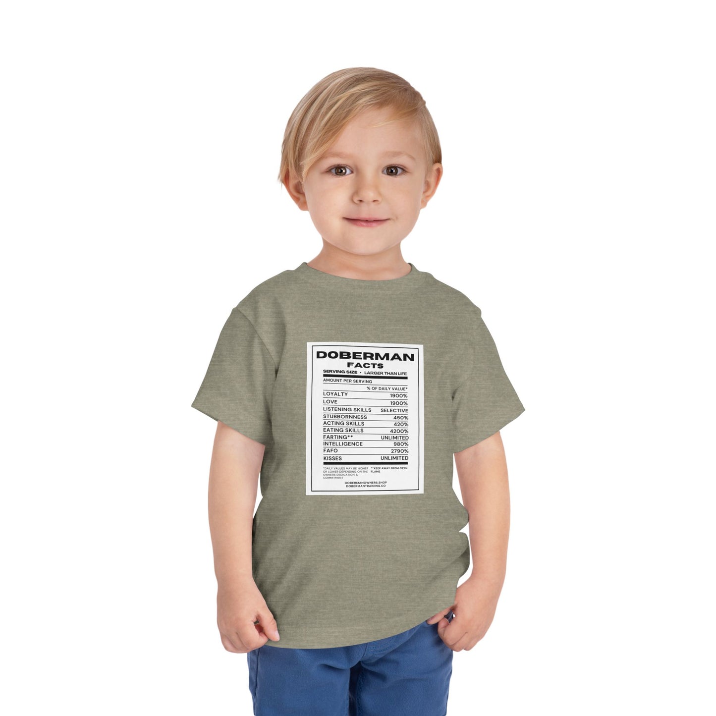 Doberman Facts 1 Toddler Short Sleeve Tee