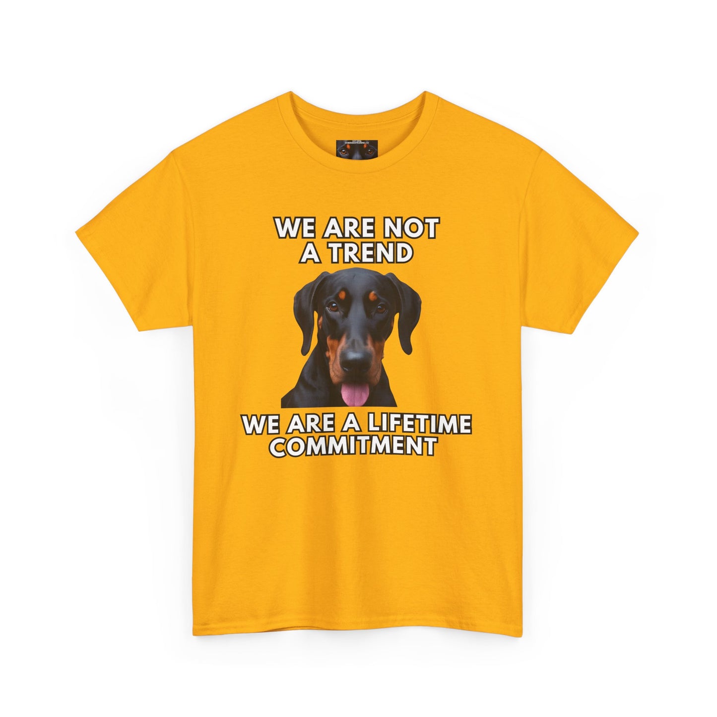 Adopt 12 Private Lable Unisex Heavy Cotton Tee