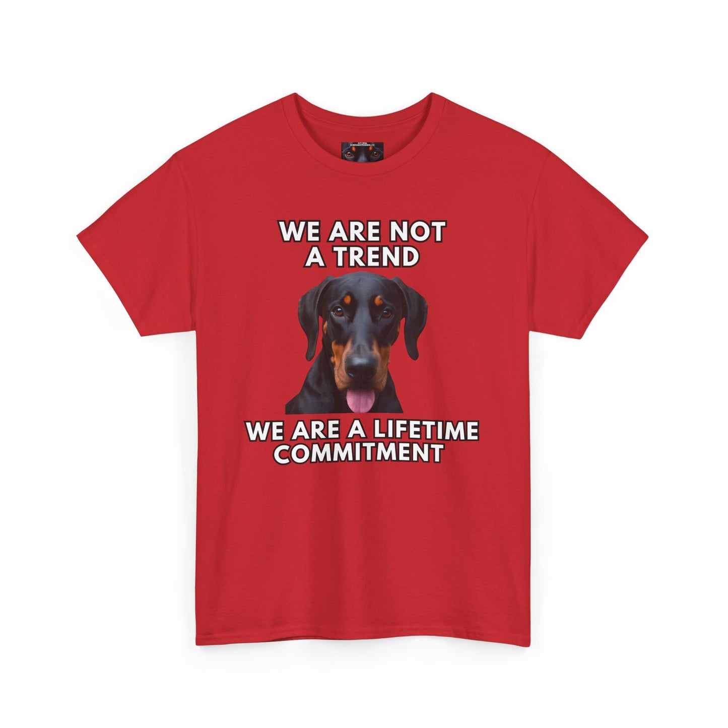 Adopt 12 Private Lable Unisex Heavy Cotton Tee