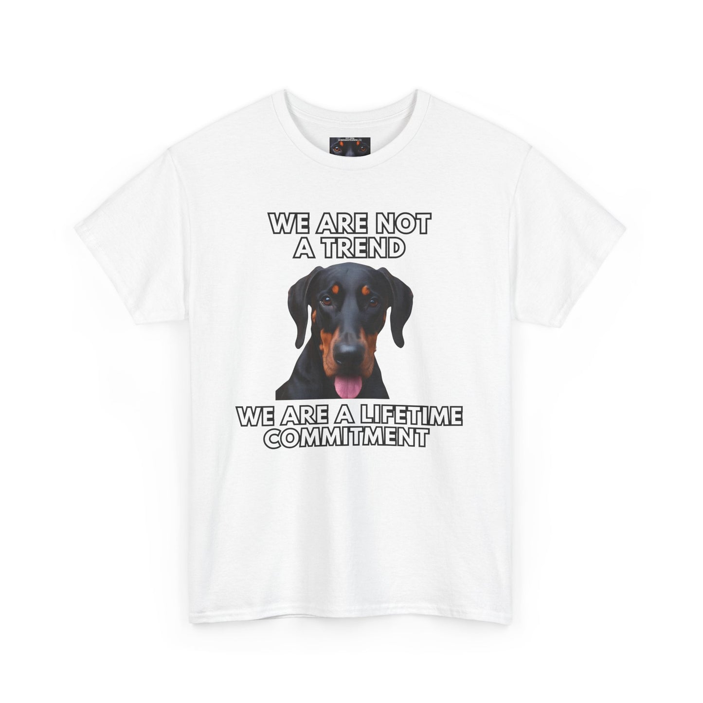 Adopt 12 Private Lable Unisex Heavy Cotton Tee