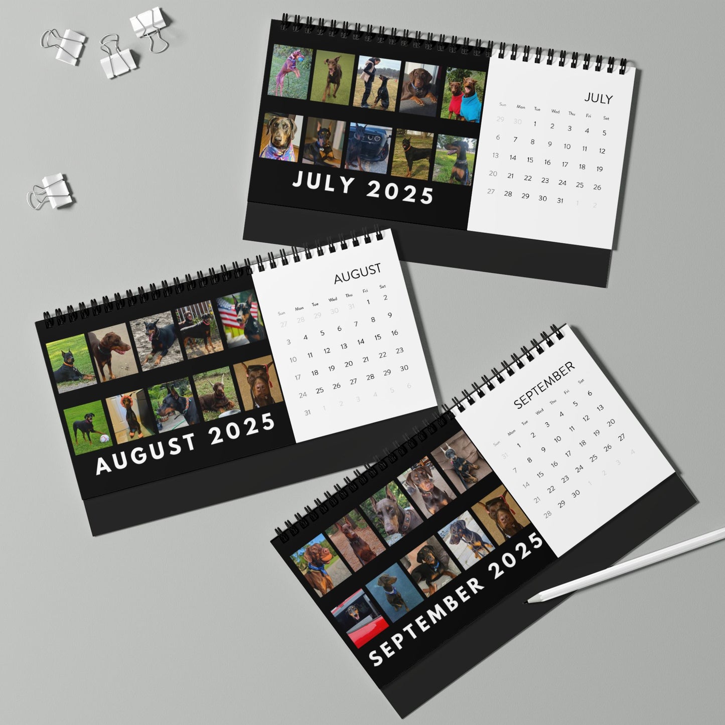 DTT 1st Edition Desktop Calendar (2025 grid)