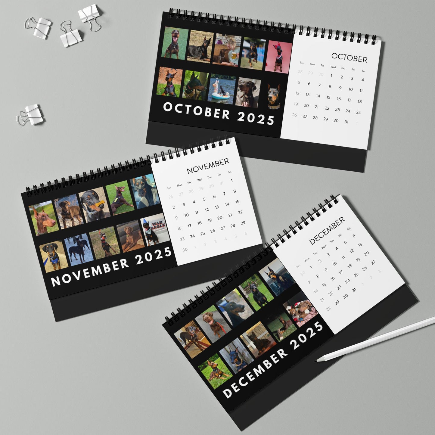 DTT 1st Edition Desktop Calendar (2025 grid)