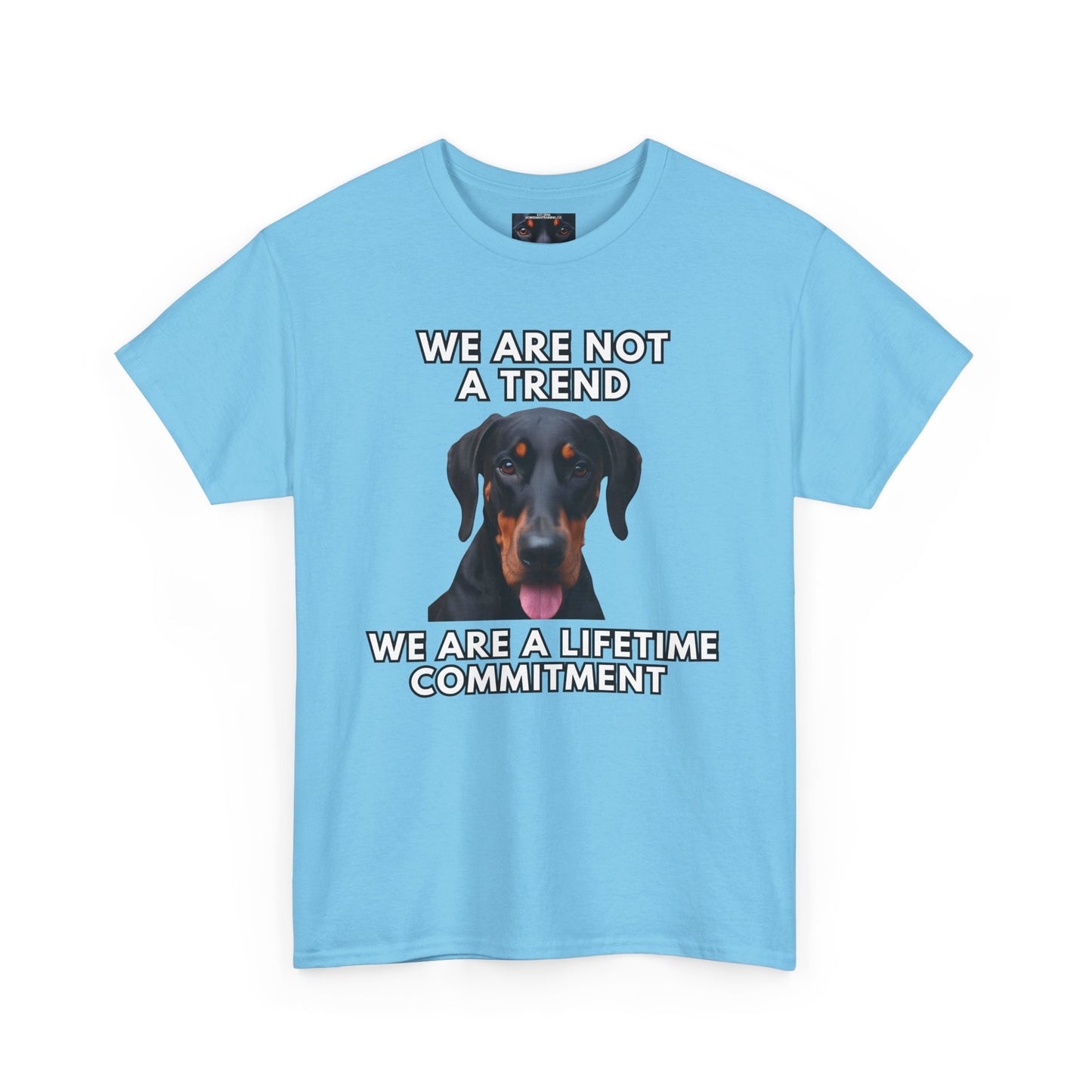 Adopt 12 Private Lable Unisex Heavy Cotton Tee