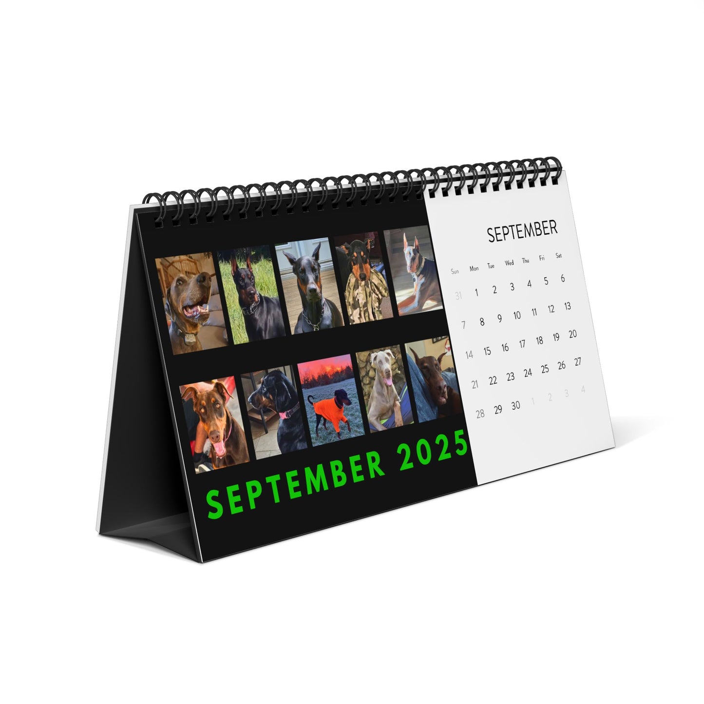 Dobernan DTT 9th Edition Desktop Calendar (2025 grid)