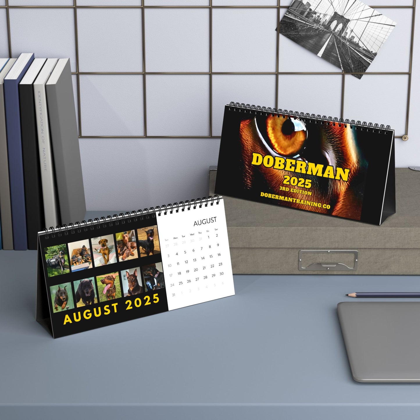 DTT 3rd Edition Desktop Calendar (2025 grid)