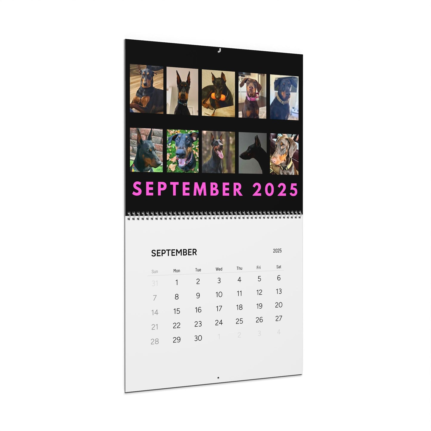 Doberman DTT 13th Edition Wall Calendars (2025)