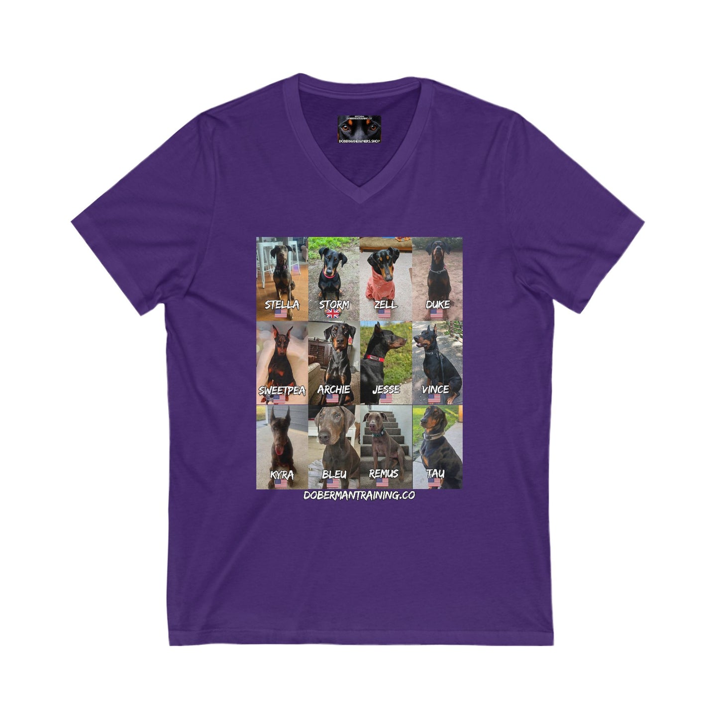 Fam 1 Sit Private Label Unisex Jersey Short Sleeve V-Neck Tee