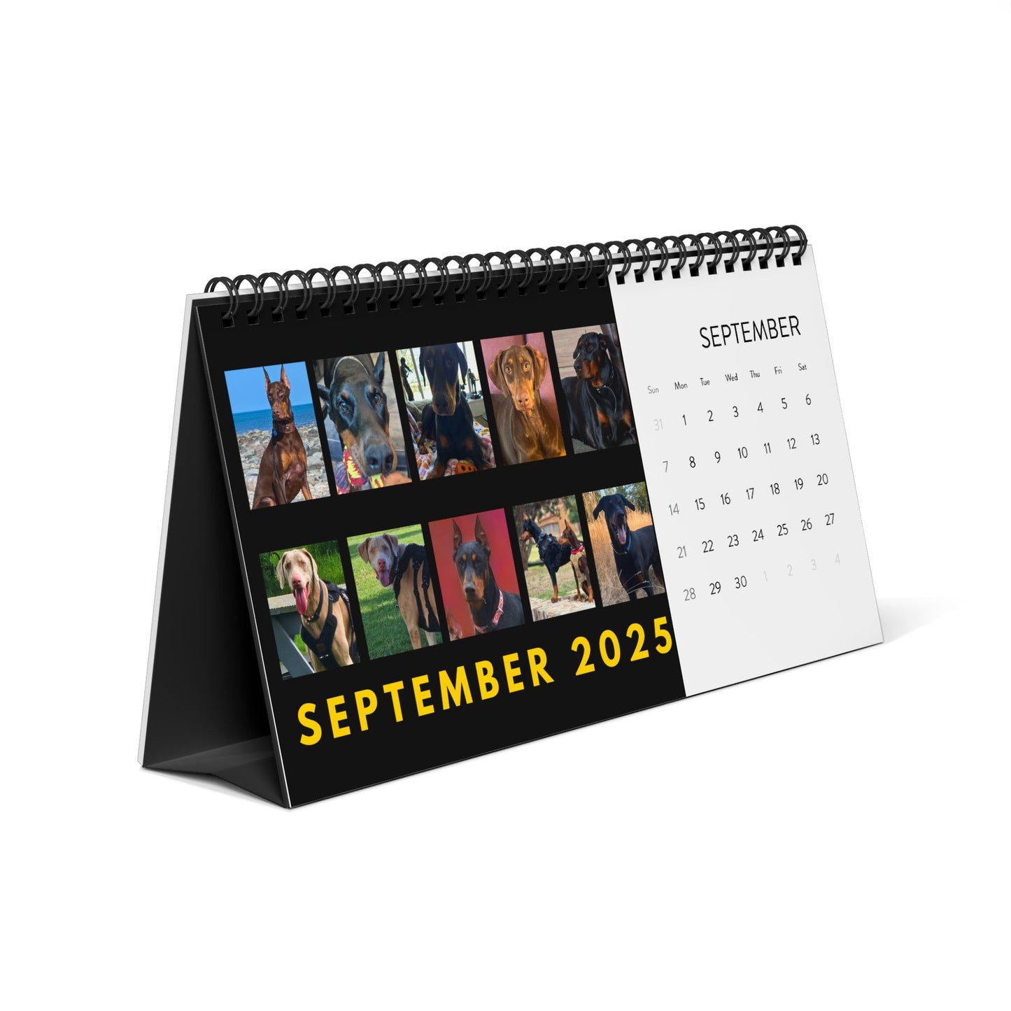 DTT 3rd Edition Desktop Calendar (2025 grid)