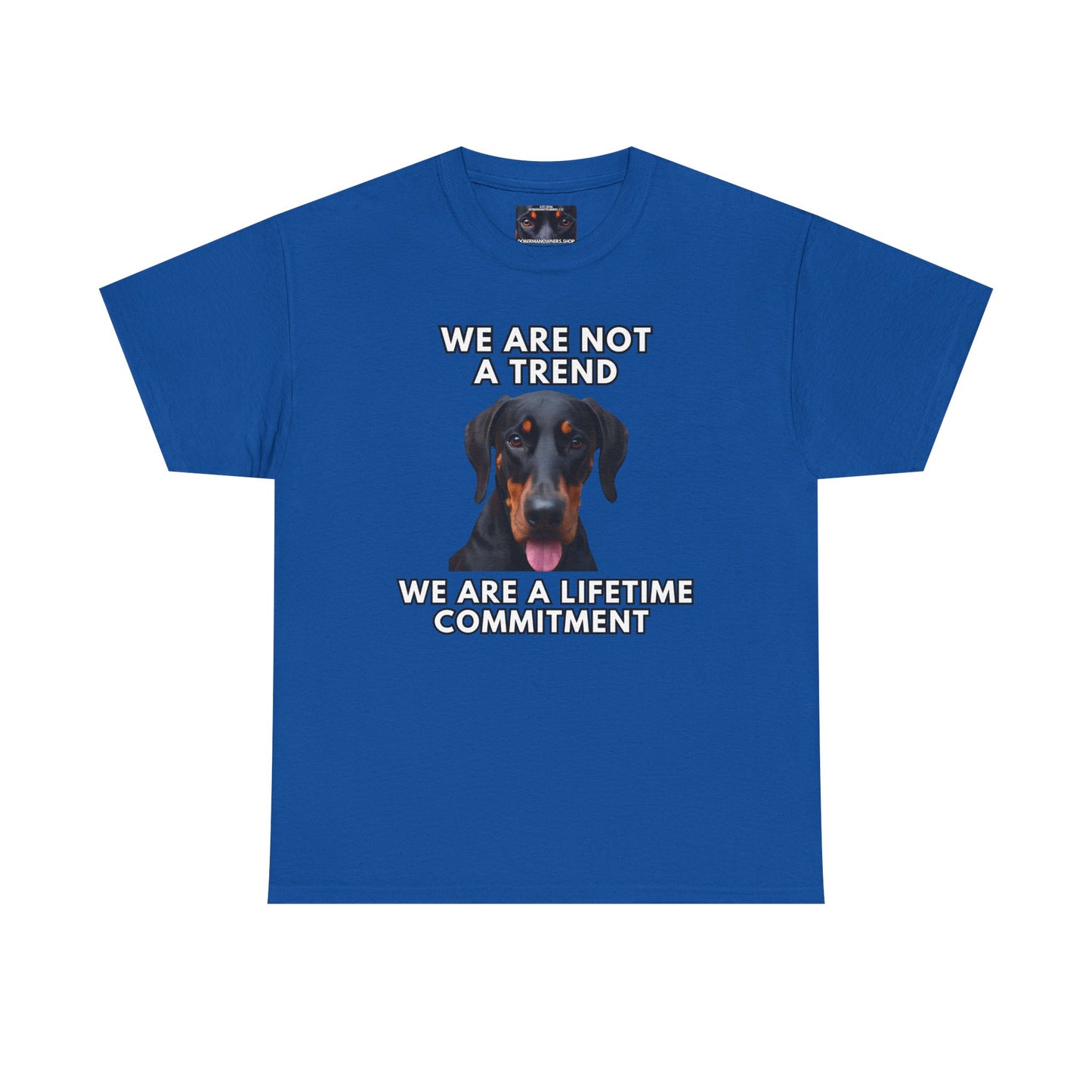 Adopt 12 Private Lable Unisex Heavy Cotton Tee