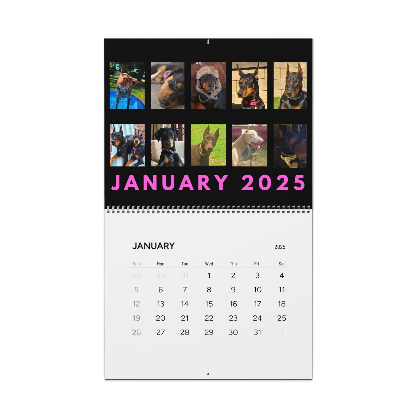 Doberman DTT 13th Edition Wall Calendars (2025)