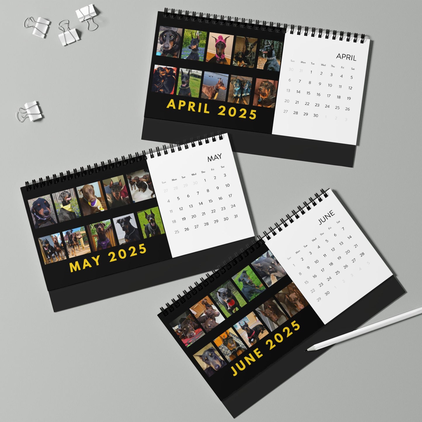 DTT 3rd Edition Desktop Calendar (2025 grid)