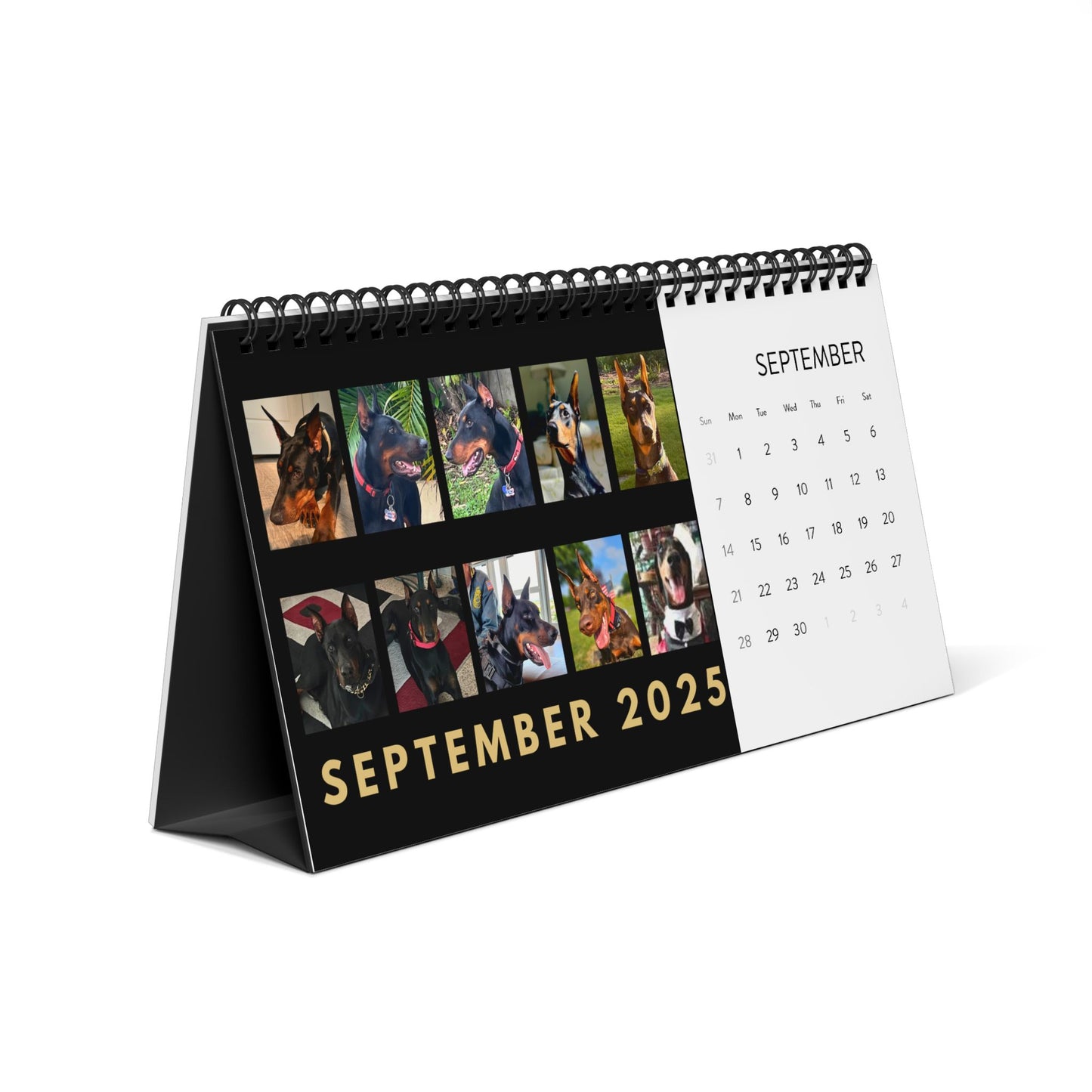 DTT 4th USA Edition Desktop Calendar (2025 grid)