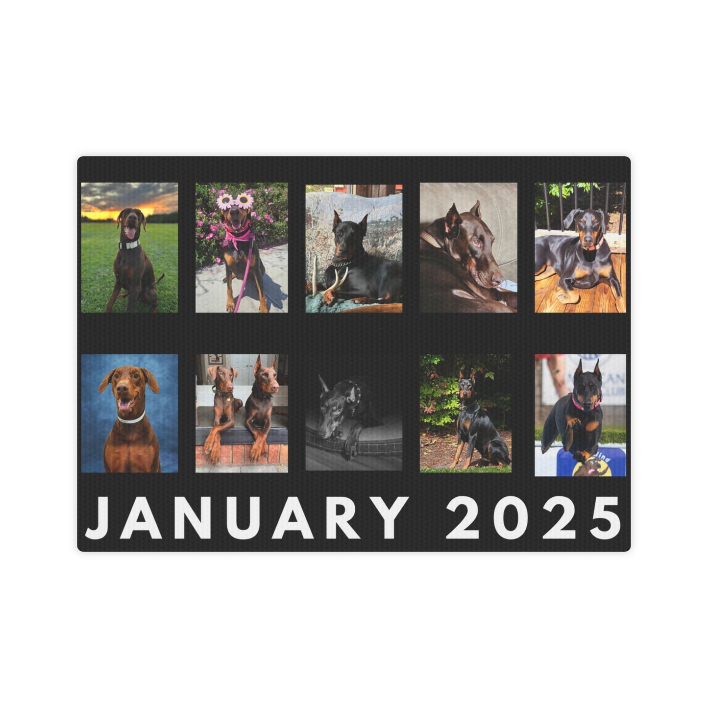 1st Edition January 2025 Canvas Photo Tile