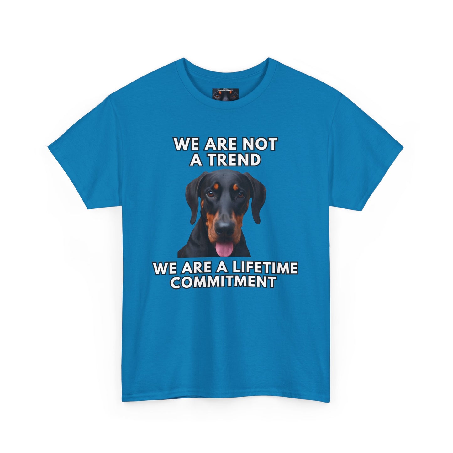 Adopt 12 Private Lable Unisex Heavy Cotton Tee