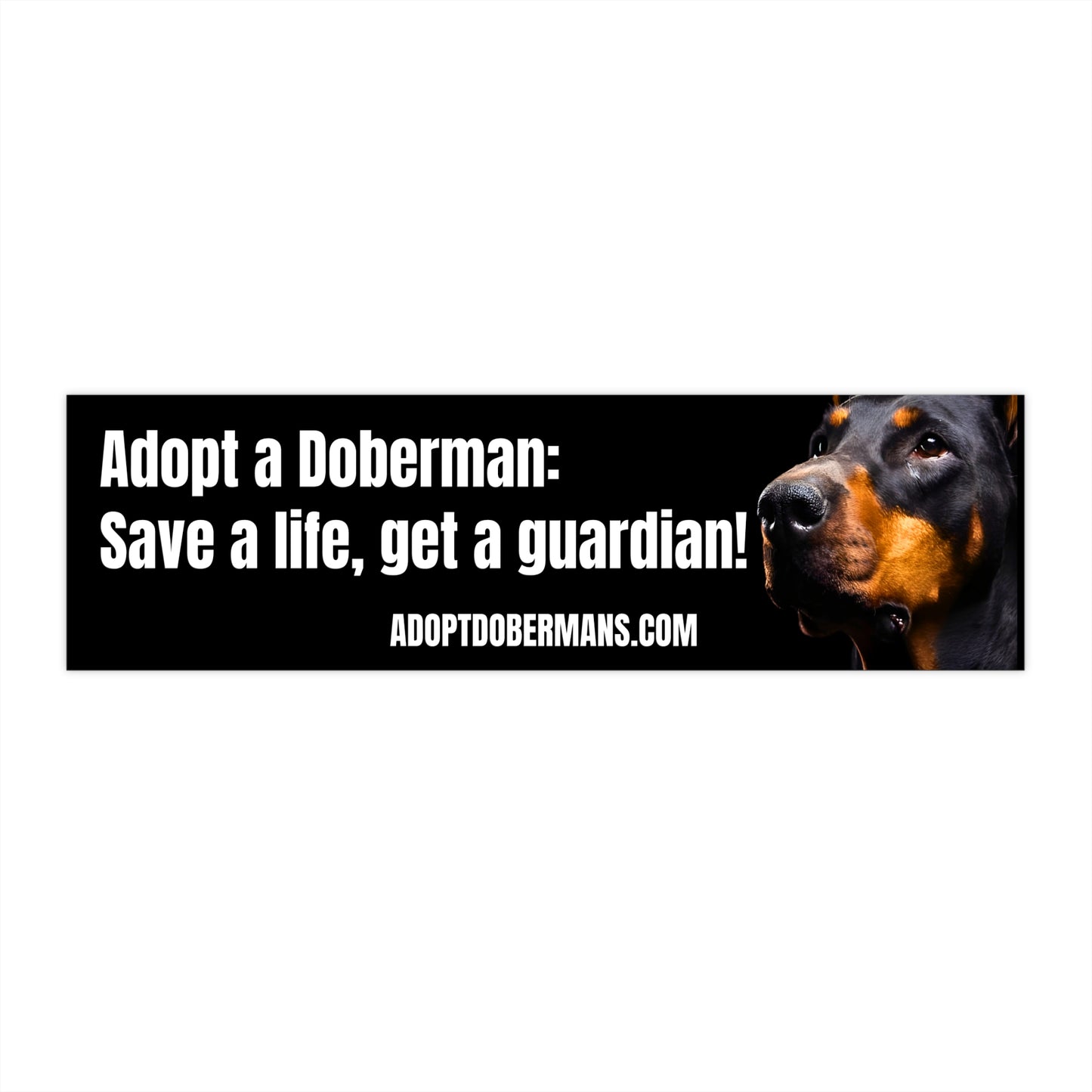 Adopt 2 Bumper Stickers