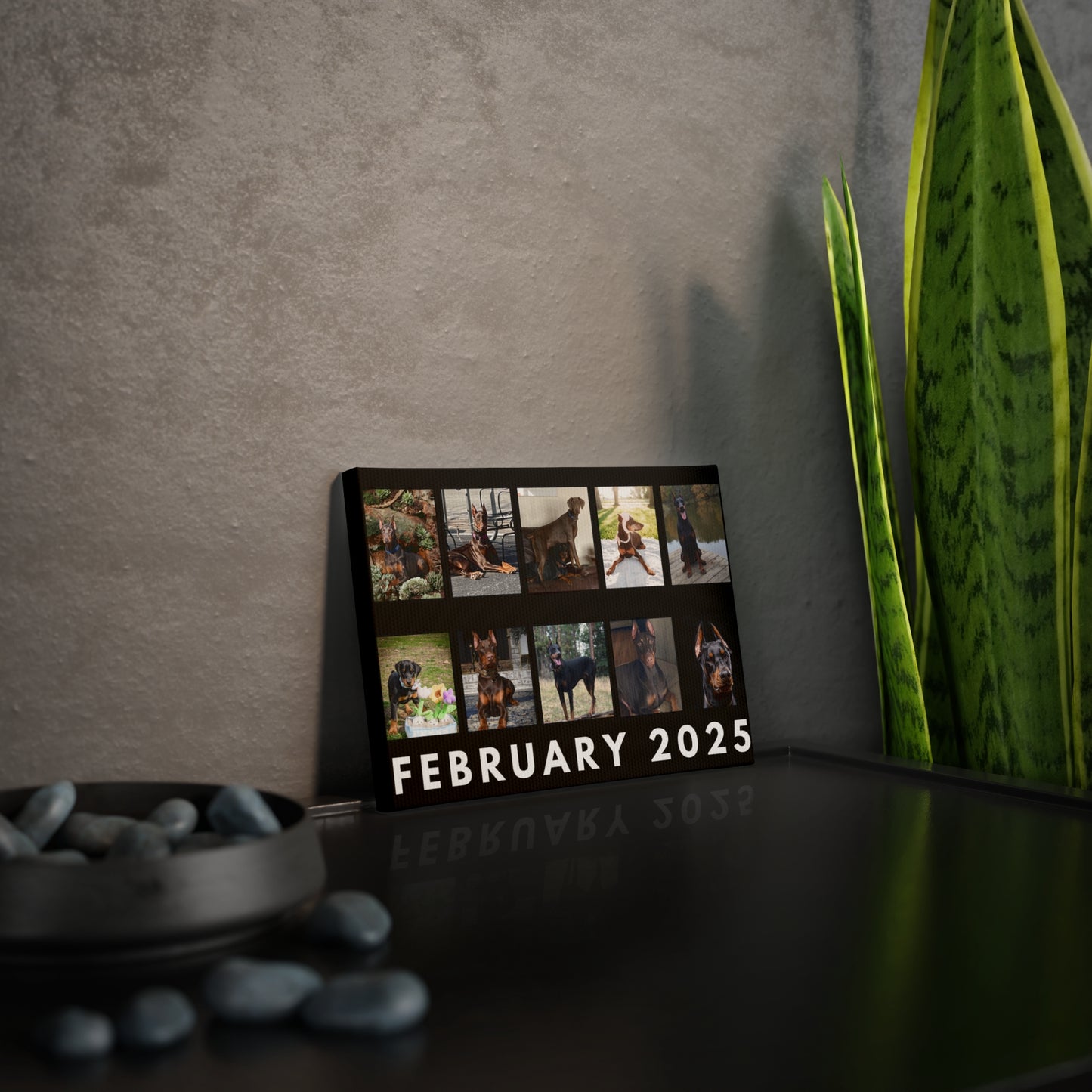 1st Edition February 2025 Canvas Photo Tile