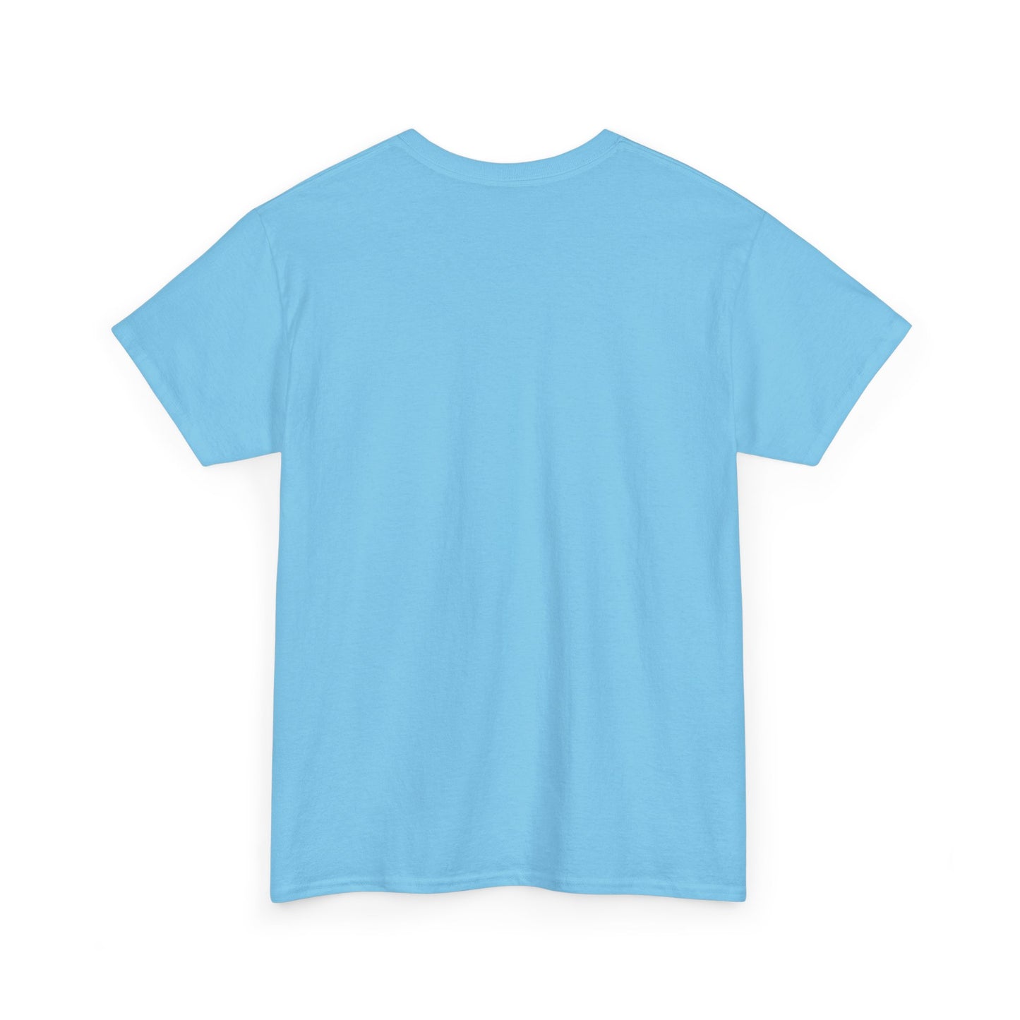 100 1 Private Lable Unisex Heavy Cotton Tee