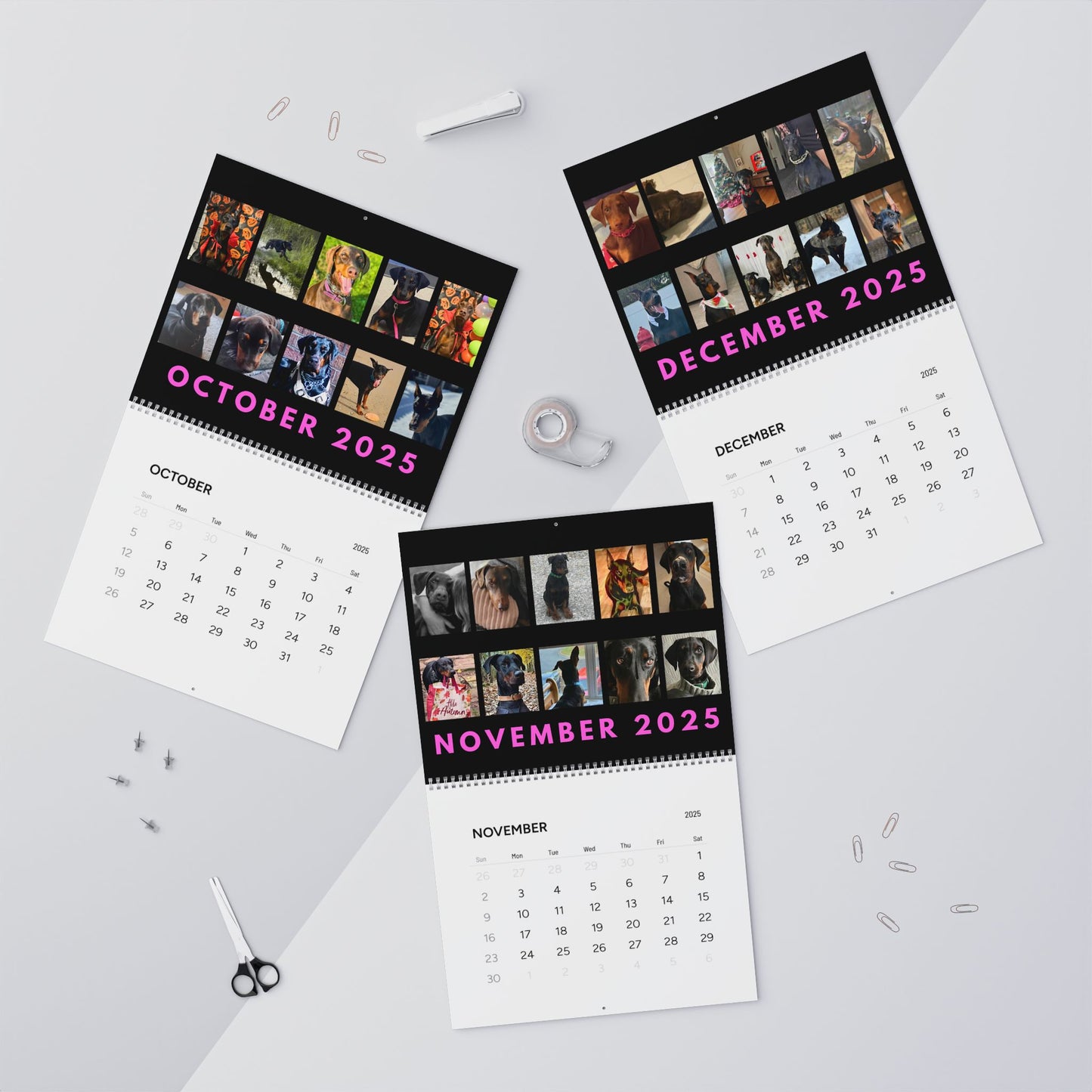 Doberman DTT 13th Edition Wall Calendars (2025)