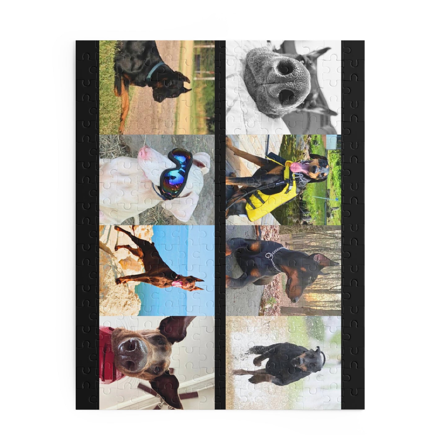 Limited Edition Doberman Community Jigsaw Puzzle 10