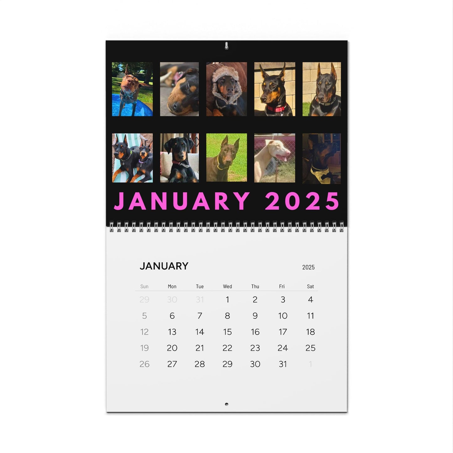 Doberman DTT 13th Edition Wall Calendars (2025)