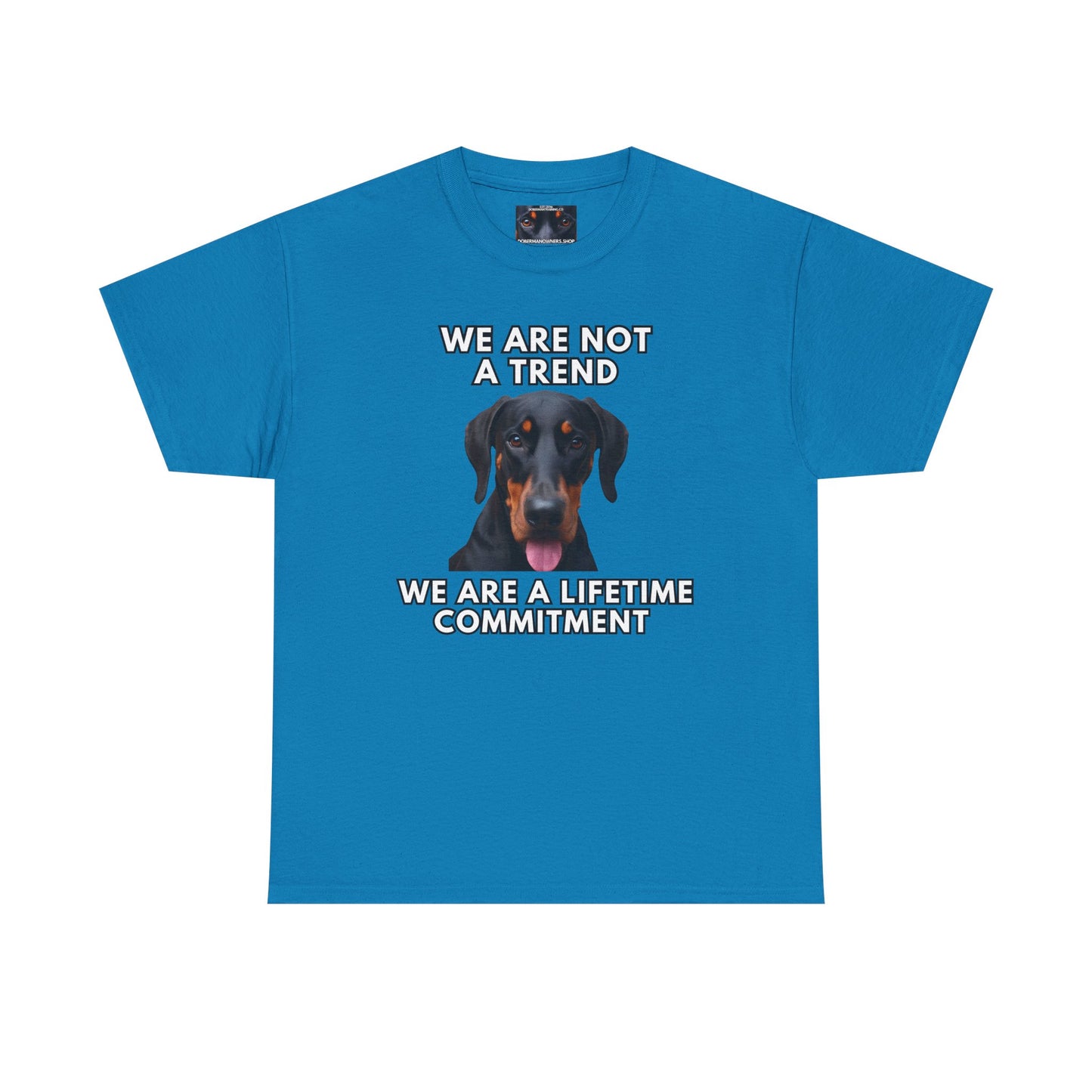 Adopt 12 Private Lable Unisex Heavy Cotton Tee