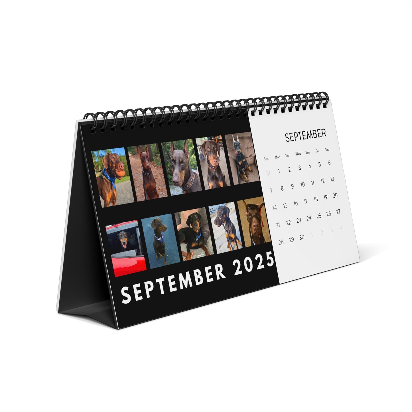 DTT 1st Edition Desktop Calendar (2025 grid)