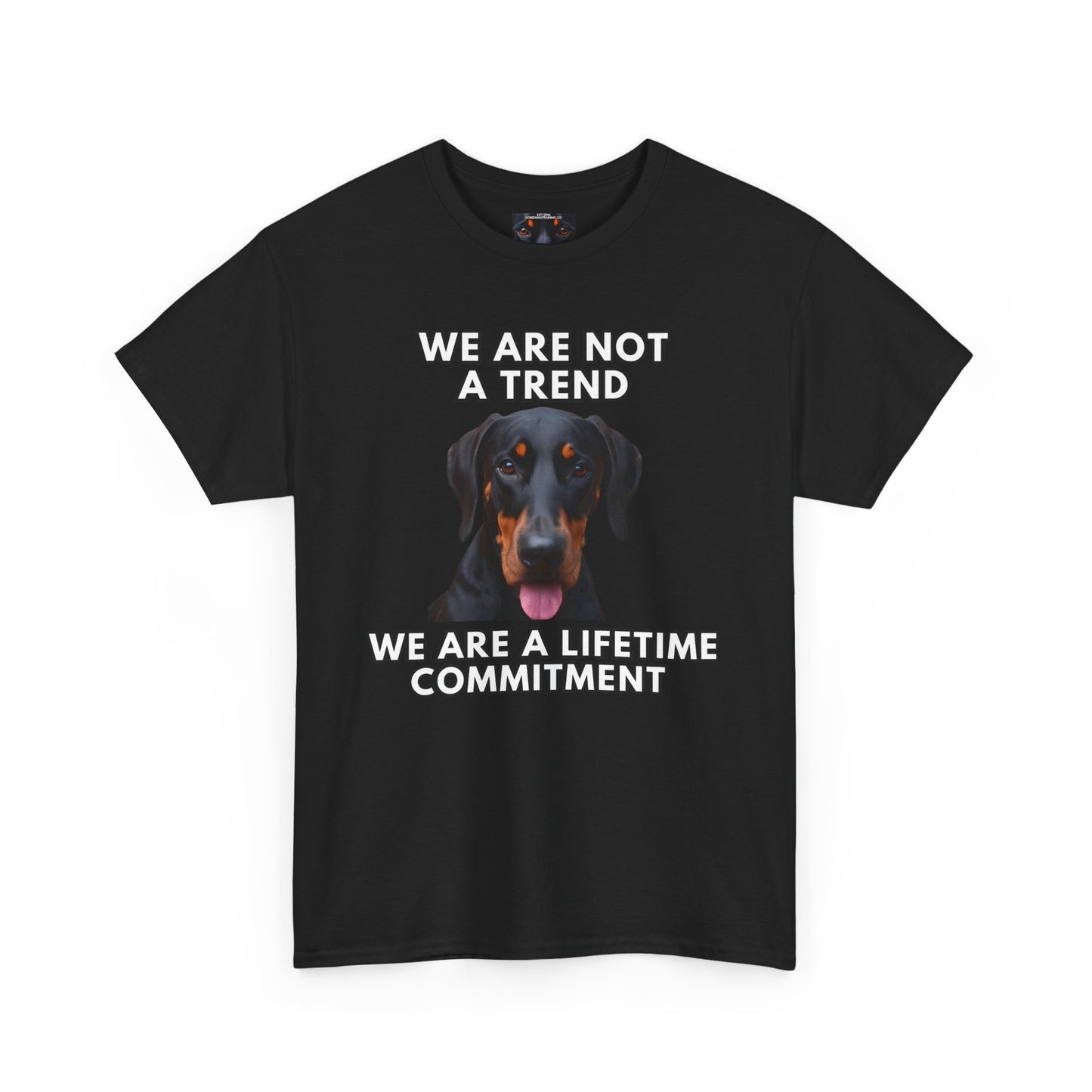 Adopt 12 Private Lable Unisex Heavy Cotton Tee