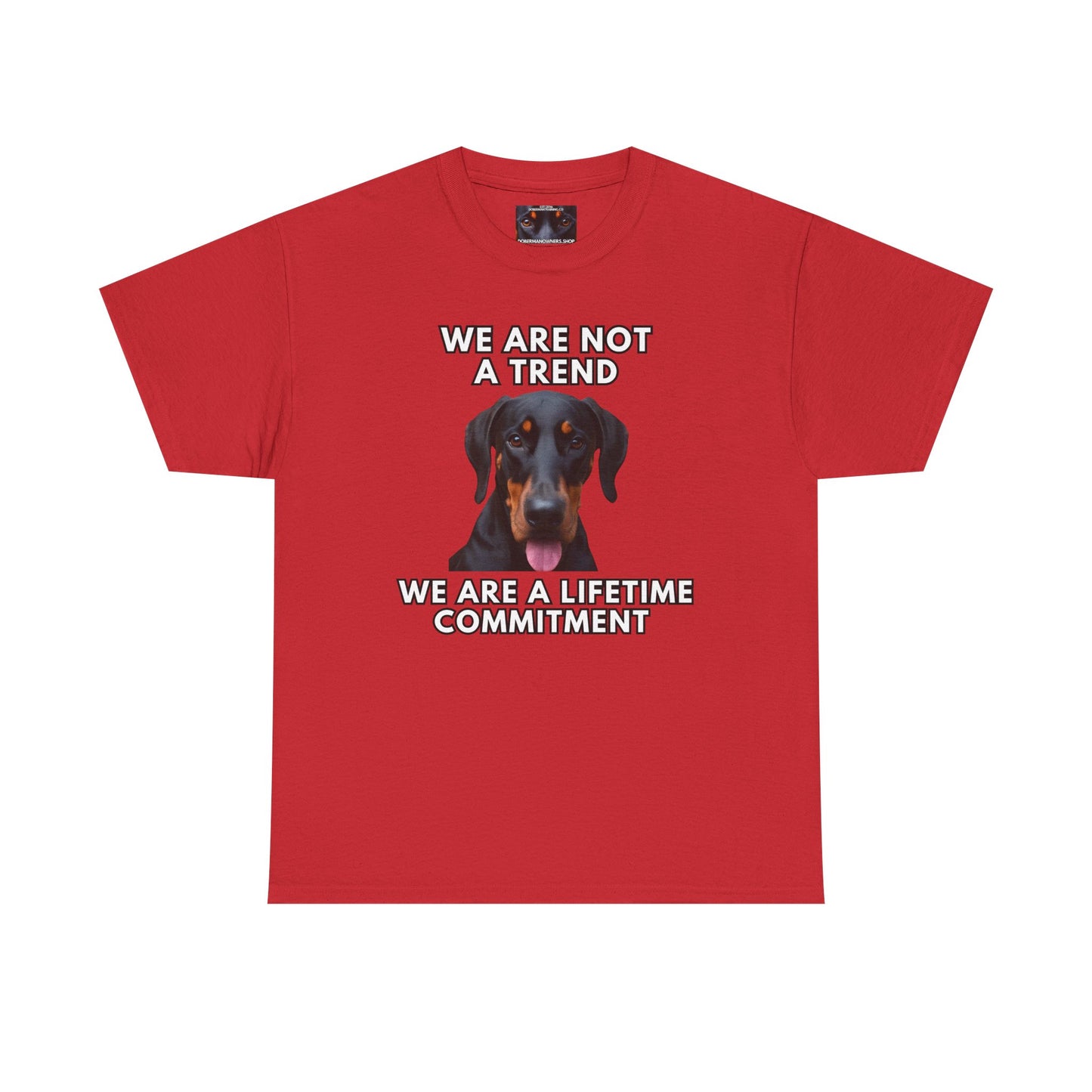 Adopt 12 Private Lable Unisex Heavy Cotton Tee