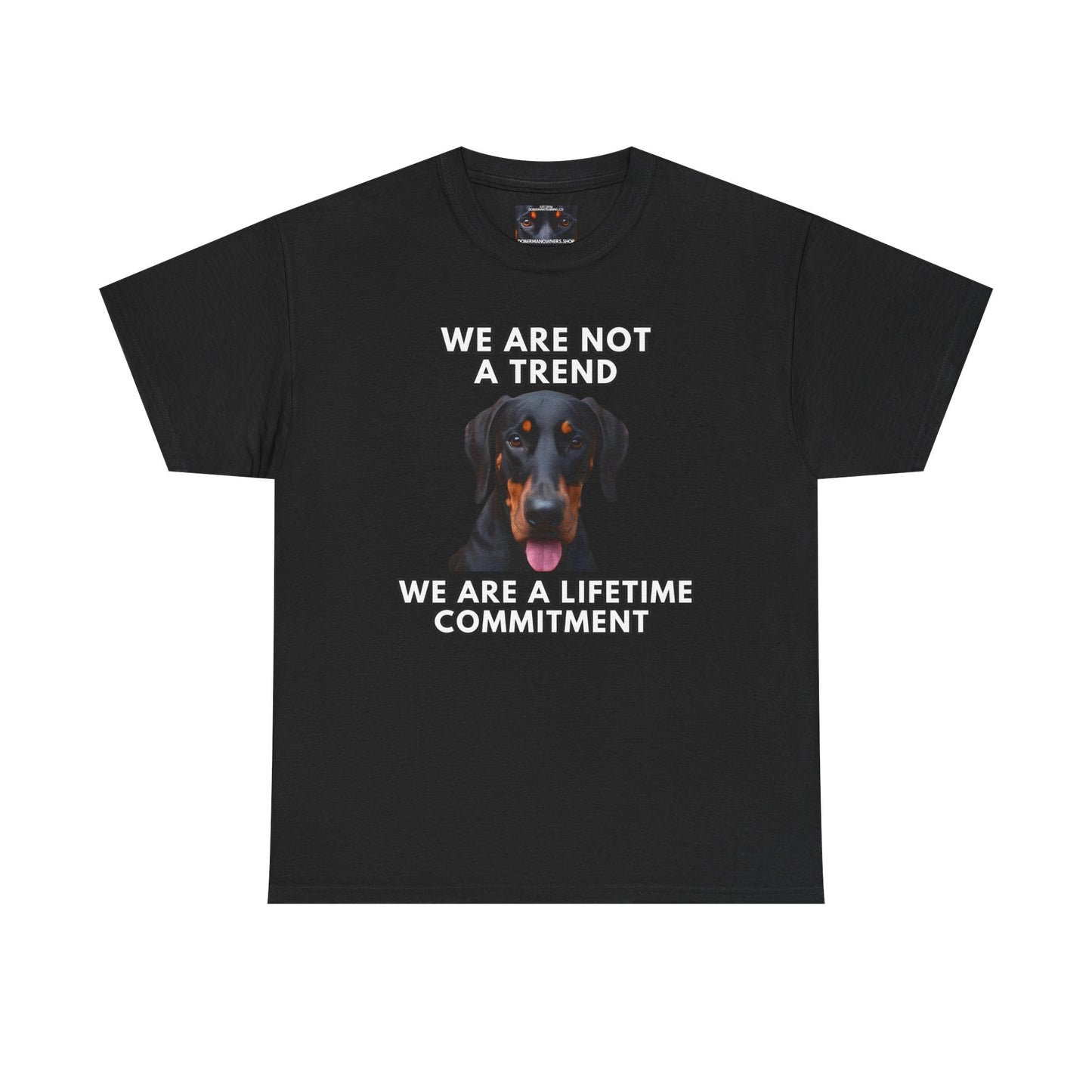 Adopt 12 Private Lable Unisex Heavy Cotton Tee