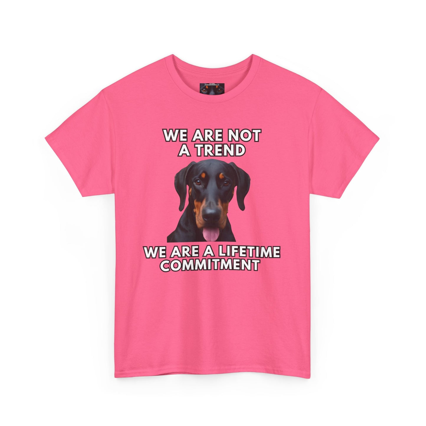 Adopt 12 Private Lable Unisex Heavy Cotton Tee