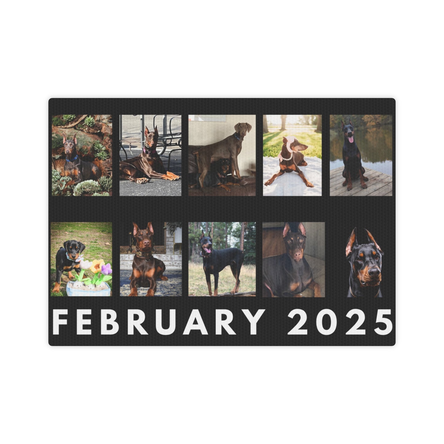 1st Edition February 2025 Canvas Photo Tile