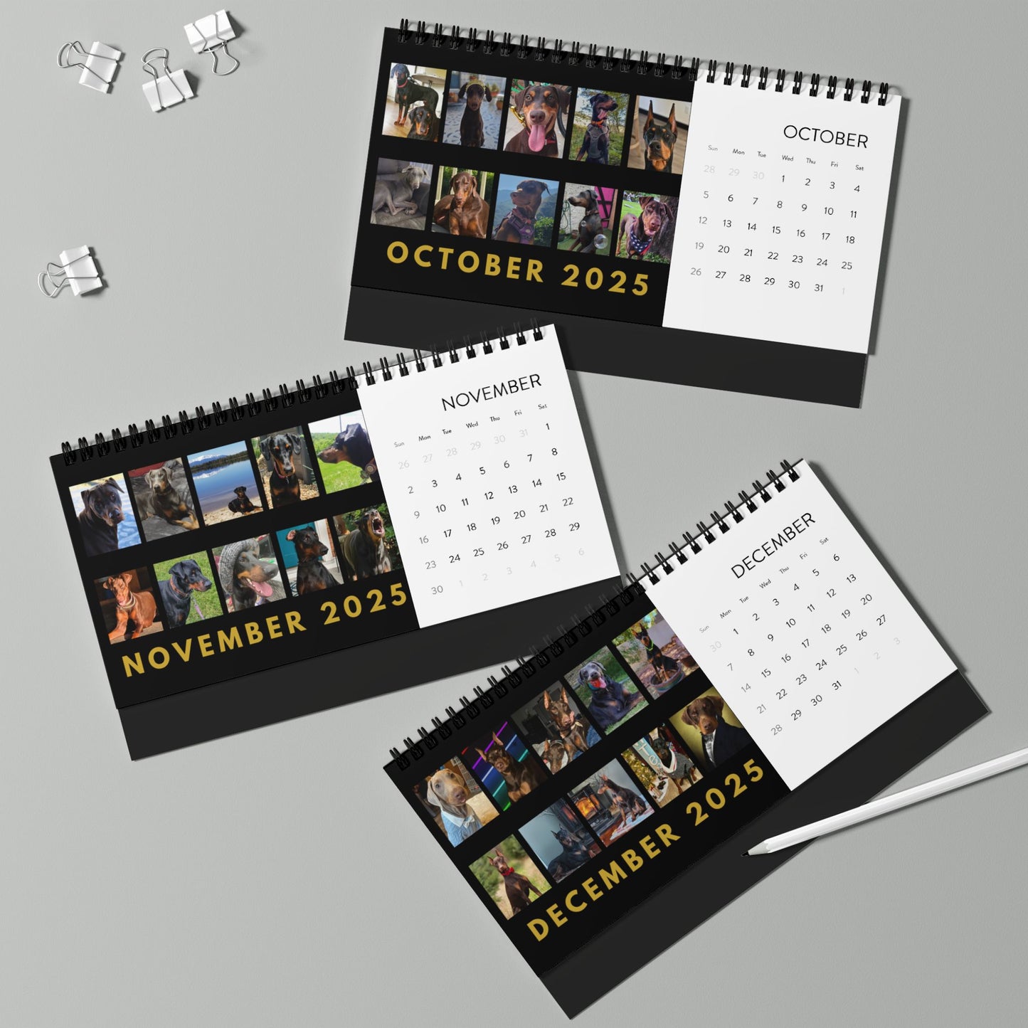 DTT 2nd Edition Desktop Calendar (2025 grid)