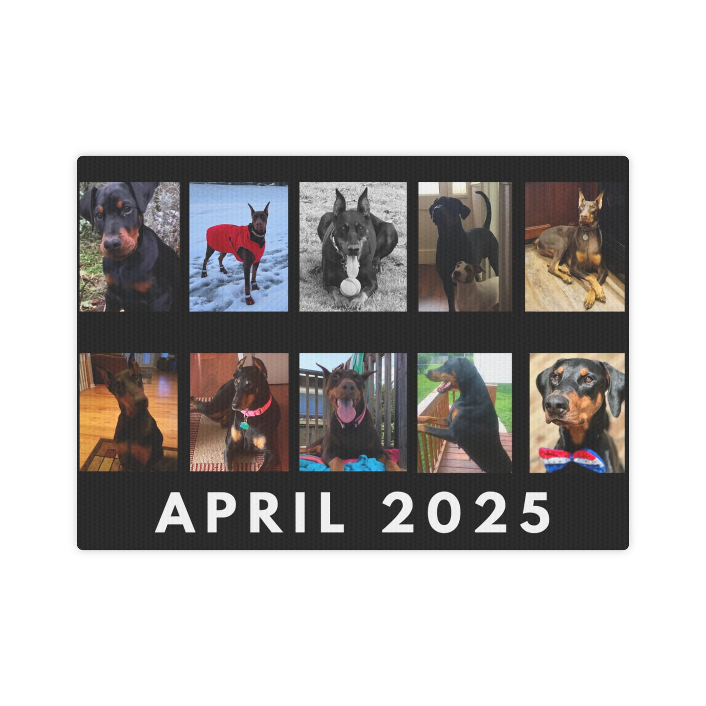 1st Edition April 2025 Canvas Photo Tile