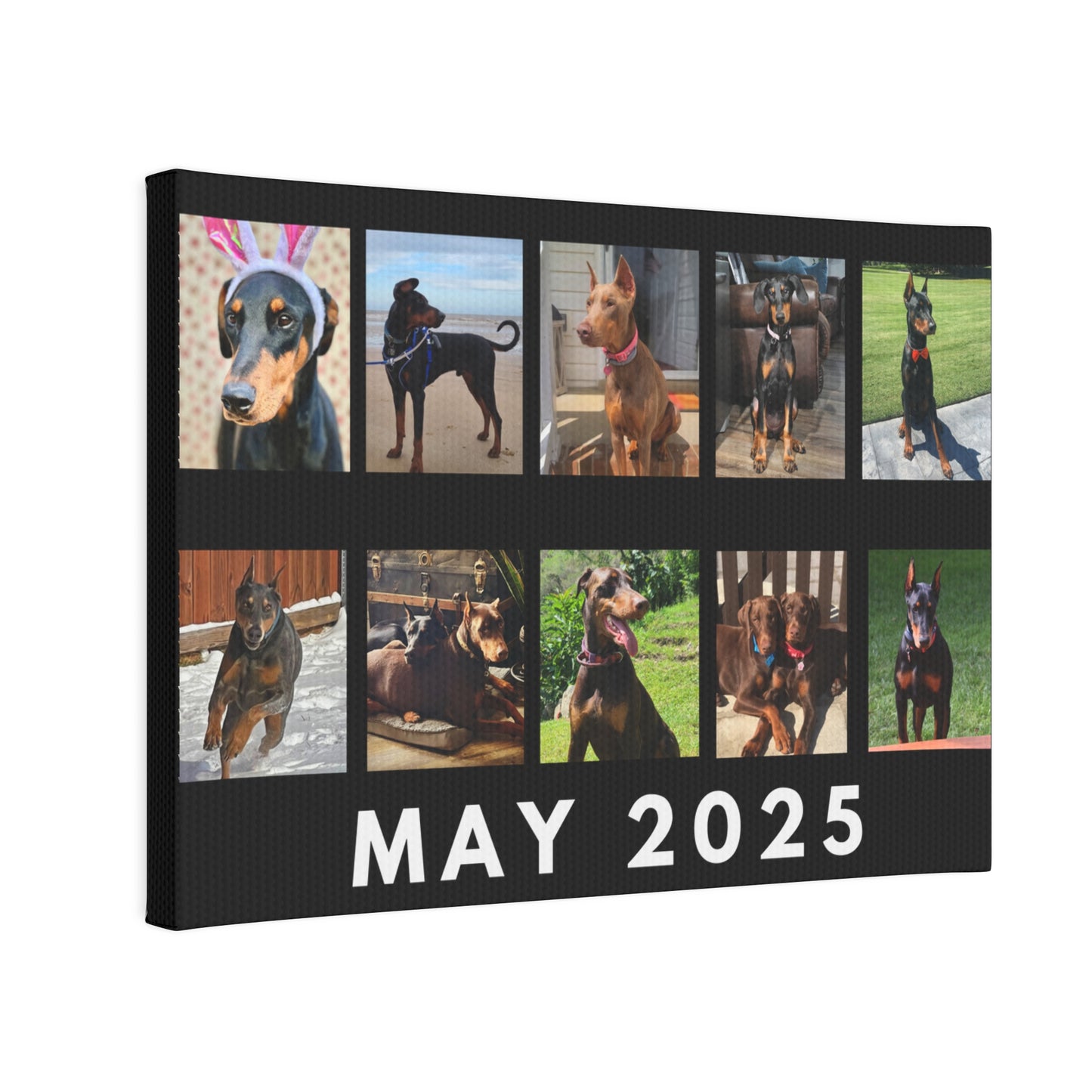 1st Edition May 2025 Canvas Photo Tile