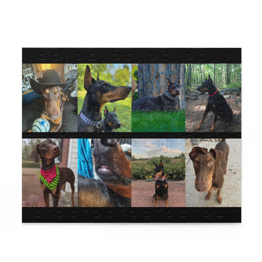 Limited Edition Doberman Community Jigsaw Puzzle 1
