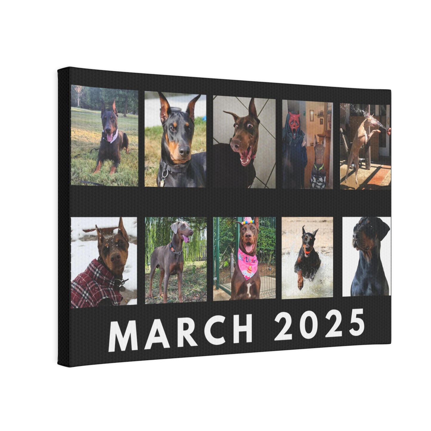 1st Edition March 2025 Canvas Photo Tile