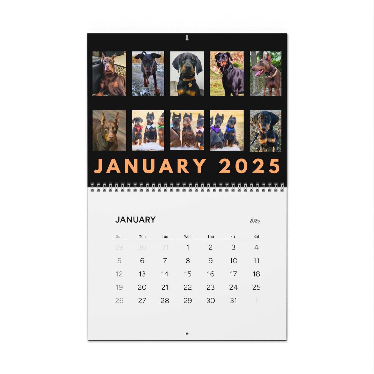 Doberman DTT 15th Edition Wall Calendars (2025)