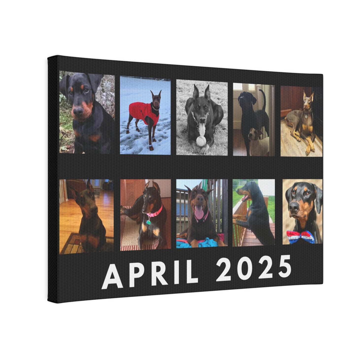 1st Edition April 2025 Canvas Photo Tile