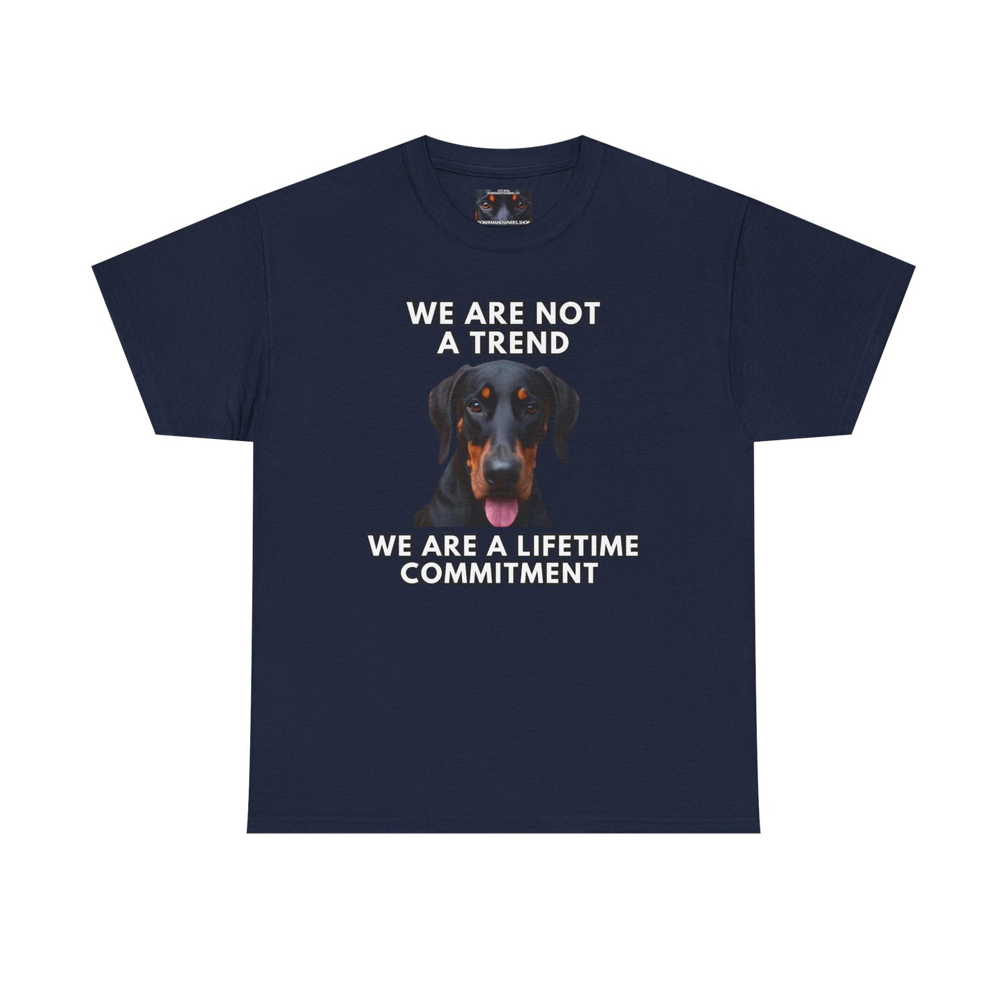Adopt 12 Private Lable Unisex Heavy Cotton Tee